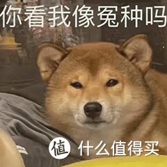 1688源头工厂仅需1折拿下滑雪装备！手套仅需15元，滑雪裤99元！